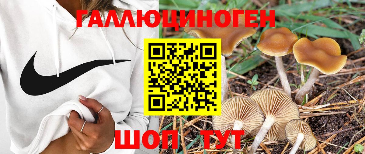 Галлюциногенные грибы Psilocybe  купить наркотик  Бирск  Вход с VPN 